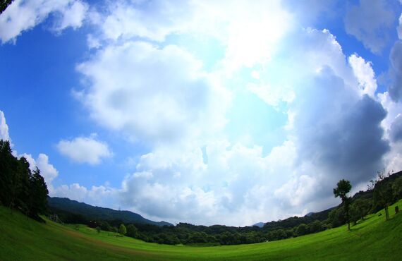 安曇野市のいちご水耕栽培における炭疽病対策の決定版です！