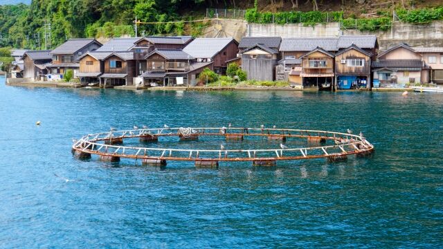 海面養殖