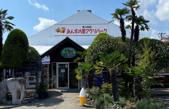 イチゴ栽培用の水処理についてご相談です